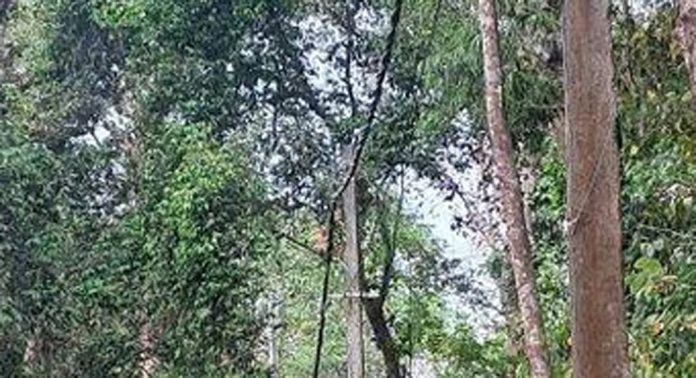 വഴി വിളക്കുകളില്ല ; കുടമുരുട്ടി കൊച്ചുകുളം വഴിയുള്ള യാത്ര ദുഷ്കരം വഴി വിളക്കുകളില്ല ; കുടമുരുട്ടി കൊച്ചുകുളം വഴിയുള്ള യാത്ര ദുഷ്കരം