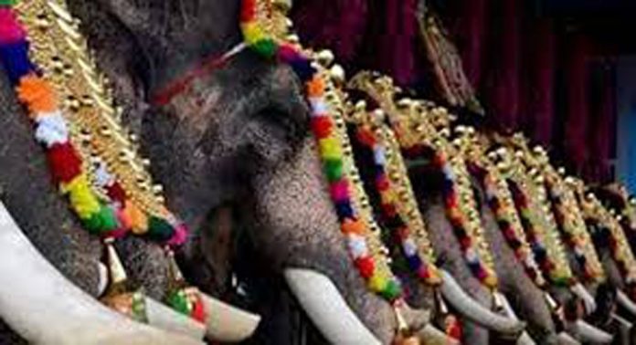 കൊല്ലീരേത്ത് ക്ഷേത്ര ഉത്സവം കൊടിയേറി കൊല്ലീരേത്ത് ക്ഷേത്ര ഉത്സവം കൊടിയേറി