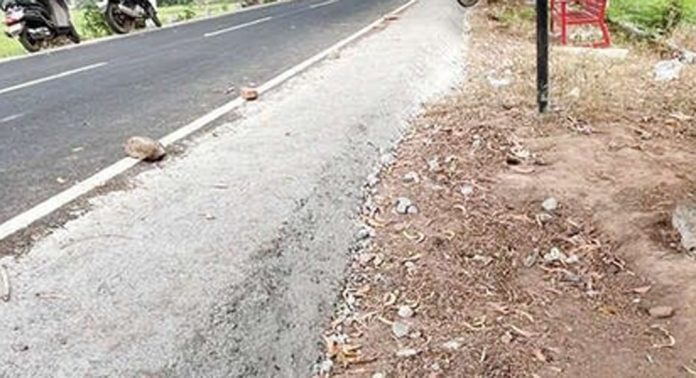 നീർവിളാകം-കുറിച്ചിമുട്ടം റോഡിന്റെ താഴ്ന്ന വശങ്ങള് അപകടഭീതി ഉയര്ത്തുന്നു നീർവിളാകം-കുറിച്ചിമുട്ടം റോഡിന്റെ താഴ്ന്ന വശങ്ങള് അപകടഭീതി ഉയര്ത്തുന്നു