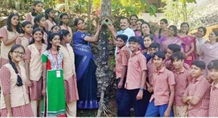 തട്ടയിൽ എൻഎസ്എസ് ഹയർ സെക്കൻഡറി സ്കൂളില് കുരുവിക്കൂട് ഒരുക്കി തട്ടയിൽ എൻഎസ്എസ് ഹയർ സെക്കൻഡറി സ്കൂളില് കുരുവിക്കൂട് ഒരുക്കി