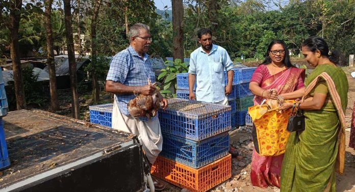 വടശ്ശേരിക്കര പഞ്ചായത്തിൽ മുട്ട കോഴിക്കുഞ്ഞുങ്ങളുടെ വിതരണ ഉദ്ഘാടനം നടത്തി വടശ്ശേരിക്കര പഞ്ചായത്തിൽ മുട്ട കോഴിക്കുഞ്ഞുങ്ങളുടെ വിതരണ ഉദ്ഘാടനം നടത്തി