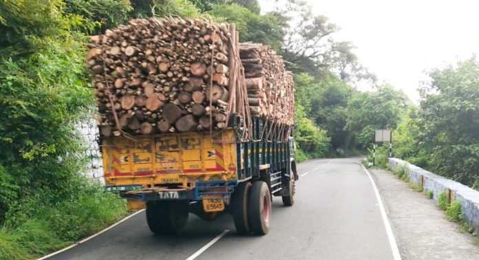 വീടുകള് കയറിയിറങ്ങി മരങ്ങള് വെട്ടി മരംമാഫിയ സംഘം വീടുകള് കയറിയിറങ്ങി മരങ്ങള് വെട്ടി മരംമാഫിയ സംഘം