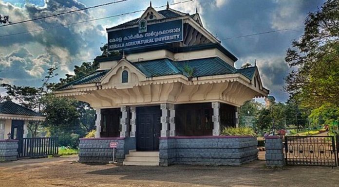 213 അനധ്യാപക തസ്തികകള് വെട്ടിക്കുറച്ച് കേരള കാര്ഷിക സര്വകലാശാല 213 അനധ്യാപക തസ്തികകള് വെട്ടിക്കുറച്ച് കേരള കാര്ഷിക സര്വകലാശാല