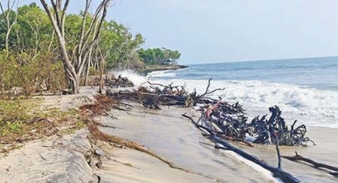 പുന്നപ്രയിൽ കടലേറ്റം ശക്തം പുന്നപ്രയിൽ കടലേറ്റം ശക്തം