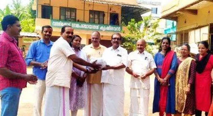 വള്ളിക്കോട് ഗ്രാമപഞ്ചായത്തിൽ ഇഞ്ചി വിത്ത് വിതരണം ചെയ്തു വള്ളിക്കോട് ഗ്രാമപഞ്ചായത്തിൽ ഇഞ്ചി വിത്ത് വിതരണം ചെയ്തു