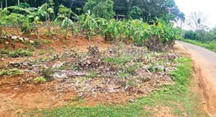 പ്രഖ്യാപിച്ചിട്ട് വർഷങ്ങൾ ; അടൂര് ഗവ.ഹോമിയോ ആശുപത്രി കെട്ടിടനിർമാണം തുടങ്ങിയില്ല പ്രഖ്യാപിച്ചിട്ട് വർഷങ്ങൾ ; അടൂര് ഗവ.ഹോമിയോ ആശുപത്രി കെട്ടിടനിർമാണം തുടങ്ങിയില്ല