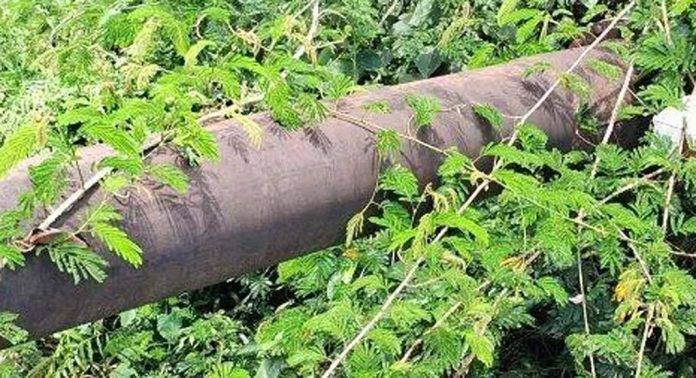 അടൂർ ടി ബി ജംഗ്ഷനിലെ തകർന്ന പാലം ശരിയാക്കണമെന്ന ആവശ്യം ശക്തമാകുന്നു അടൂർ ടി ബി ജംഗ്ഷനിലെ തകർന്ന പാലം ശരിയാക്കണമെന്ന ആവശ്യം ശക്തമാകുന്നു