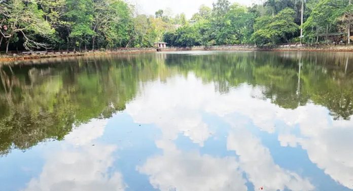 പുതിയകാവിൽ ചിറയ്ക്ക് ശാപമോക്ഷം ; ജില്ലാ ടൂറിസം പ്രൊമോഷൻ കൗൺസിലിന്റെ നേതൃത്വത്തിൽ പായൽ നീക്കി പുതിയകാവിൽ ചിറയ്ക്ക് ശാപമോക്ഷം ; ജില്ലാ ടൂറിസം പ്രൊമോഷൻ കൗൺസിലിന്റെ നേതൃത്വത്തിൽ പായൽ നീക്കി