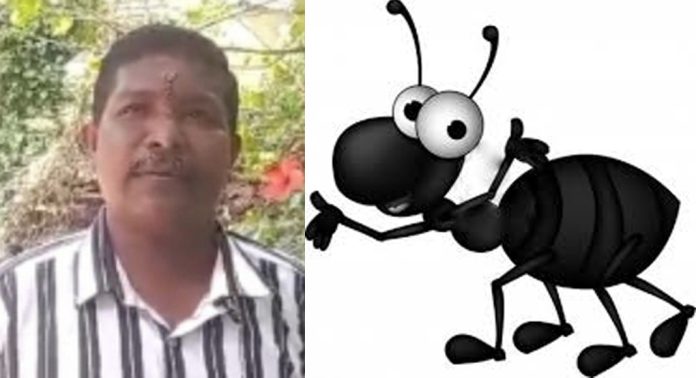 ആരോഗ്യമന്ത്രിയുടെ നമ്പര് വണ് പത്തനംതിട്ട ; തലയില് മുറിവേറ്റ് എത്തിയ രോഗിയുടെ മുറിവില് കട്ടുറുമ്പിനെ വെച്ച് തുന്നലിട്ടു ആരോഗ്യമന്ത്രിയുടെ നമ്പര് വണ് പത്തനംതിട്ട ; തലയില് മുറിവേറ്റ് എത്തിയ രോഗിയുടെ മുറിവില് കട്ടുറുമ്പിനെ വെച്ച് തുന്നലിട്ടു