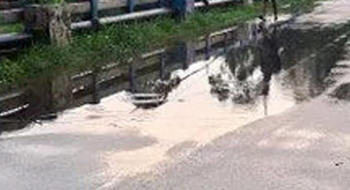 അത്തിക്കയം വലിയപാലത്തിലെ വെള്ളക്കെട്ടും വശങ്ങളിൽ വളർന്നു നിൽക്കുന്ന കാടും യാത്രക്കാരെ വലയ്ക്കുന്നു അത്തിക്കയം വലിയപാലത്തിലെ വെള്ളക്കെട്ടും വശങ്ങളിൽ വളർന്നു നിൽക്കുന്ന കാടും യാത്രക്കാരെ വലയ്ക്കുന്നു