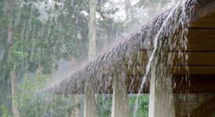 സംസഥാനത്ത് ഇന്നും മഴയ്ക്ക് സാധ്യതയെന്ന് കേന്ദ്രകാലാവസ്ഥാ വകുപ്പ് സംസഥാനത്ത് ഇന്നും മഴയ്ക്ക് സാധ്യതയെന്ന് കേന്ദ്രകാലാവസ്ഥാ വകുപ്പ്