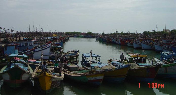 അഞ്ചാമത് ദേശീയ മറൈൻ ഫിഷറീസ് സെൻസസ് നവംബർ ഡിസംബർ മാസങ്ങളിൽ അഞ്ചാമത് ദേശീയ മറൈൻ ഫിഷറീസ് സെൻസസ് നവംബർ ഡിസംബർ മാസങ്ങളിൽ
