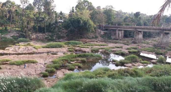 വേനൽ മഴ ആശ്വാസമായെങ്കിലും പമ്പാനദി വരണ്ടുണങ്ങിതന്നെ വേനൽ മഴ ആശ്വാസമായെങ്കിലും പമ്പാനദി വരണ്ടുണങ്ങിതന്നെ