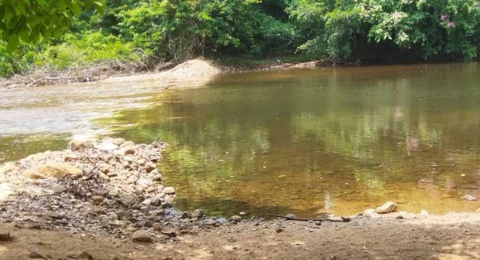 അടവി കുട്ടവഞ്ചി സവാരി കേന്ദ്രത്തിലെ തടയണ ഒലിച്ചുപോയി അടവി കുട്ടവഞ്ചി സവാരി കേന്ദ്രത്തിലെ തടയണ ഒലിച്ചുപോയി