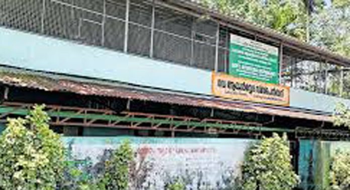 കിടത്തി ചികിത്സയ്ക്ക് സൗകര്യമില്ലാതെ അടിച്ചിപ്പുഴ ഗവ. ആയുർവേദ ഡിസ്പെൻസറി കിടത്തി ചികിത്സയ്ക്ക് സൗകര്യമില്ലാതെ അടിച്ചിപ്പുഴ ഗവ. ആയുർവേദ ഡിസ്പെൻസറി