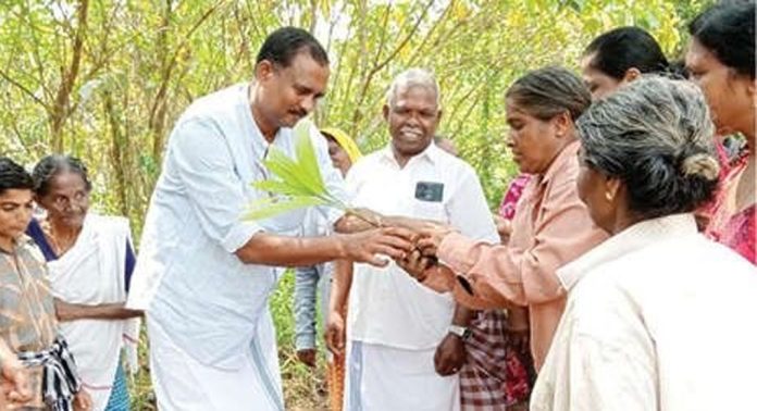 പടയണിക്കാലത്ത് കമുകിൻ പാളയുടെ ക്ഷാമം പരിഹരിക്കാൻ ഇരവിപേരൂർ പഞ്ചായത്ത് മുൻകൈയെടുത്ത് കമുകിൻ തൈകൾ നട്ടു പടയണിക്കാലത്ത് കമുകിൻ പാളയുടെ ക്ഷാമം പരിഹരിക്കാൻ ഇരവിപേരൂർ പഞ്ചായത്ത് മുൻകൈയെടുത്ത് കമുകിൻ തൈകൾ നട്ടു