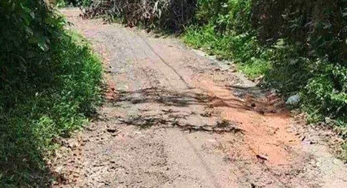 തകര്ന്ന് തരിപ്പണമായി കോട്ടറ ജംഗ്ഷൻ -ശ്രീനാരായണ പുരം റോഡ് തകര്ന്ന് തരിപ്പണമായി കോട്ടറ ജംഗ്ഷൻ -ശ്രീനാരായണ പുരം റോഡ്