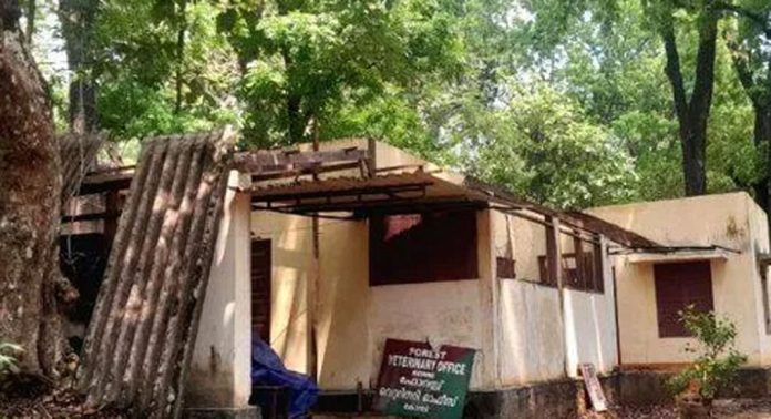 കോന്നി വനം വകുപ്പിന്റെ വെറ്ററിനറി ഓഫീസ് നവീകരിക്കുന്നു കോന്നി വനം വകുപ്പിന്റെ വെറ്ററിനറി ഓഫീസ് നവീകരിക്കുന്നു
