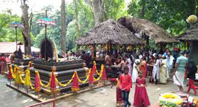 കല്ലേലി ഊരാളി അപ്പൂപ്പൻ കാവിലെ പത്താമുദയ മഹോത്സവം 14 മുതൽ കല്ലേലി ഊരാളി അപ്പൂപ്പൻ കാവിലെ പത്താമുദയ മഹോത്സവം 14 മുതൽ