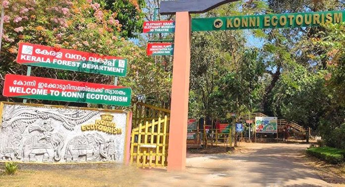 കോന്നി ഇക്കോ ടൂറിസം ; എസ് എഫ് ഒ അനിൽ കുമാറിനെ സസ്പെന്റ് ചെയ്തു കോന്നി ഇക്കോ ടൂറിസം ; എസ് എഫ് ഒ അനിൽ കുമാറിനെ സസ്പെന്റ് ചെയ്തു
