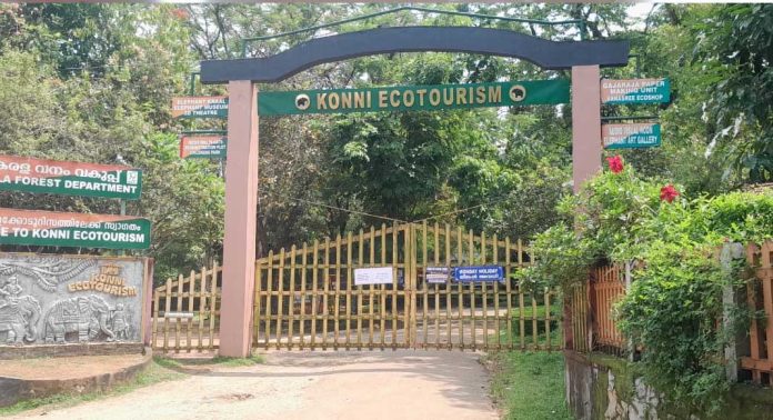 കോന്നി ഇക്കോ ടൂറിസം സെന്റർ മെയ് ഒന്ന് മുതൽ തുറന്ന് പ്രവർത്തിക്കും കോന്നി ഇക്കോ ടൂറിസം സെന്റർ മെയ് ഒന്ന് മുതൽ തുറന്ന് പ്രവർത്തിക്കും