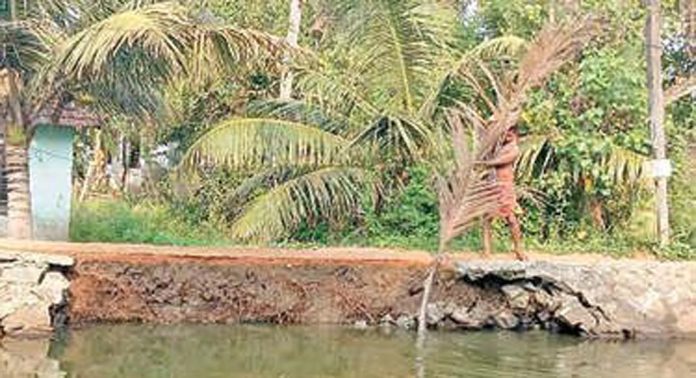 കൈനകരിയിൽ ആറുപങ്ക് പാടശേഖരത്തിലെ പുറംബണ്ട് സംരക്ഷിക്കാൻ നിർമിച്ച കരിങ്കൽ സംരക്ഷണഭിത്തി തകർച്ചയിൽ കൈനകരിയിൽ ആറുപങ്ക് പാടശേഖരത്തിലെ പുറംബണ്ട് സംരക്ഷിക്കാൻ നിർമിച്ച കരിങ്കൽ സംരക്ഷണഭിത്തി തകർച്ചയിൽ