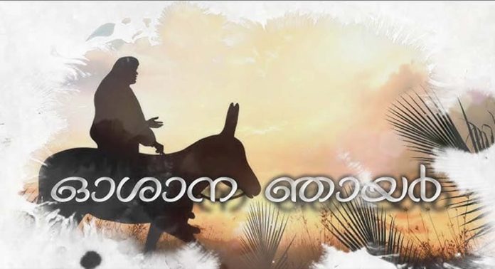 ഇന്ന് ഓശാനാ ഞായർ ; വിശുദ്ധവാരത്തിന് തുടക്കം ഇന്ന് ഓശാനാ ഞായർ ; വിശുദ്ധവാരത്തിന് തുടക്കം