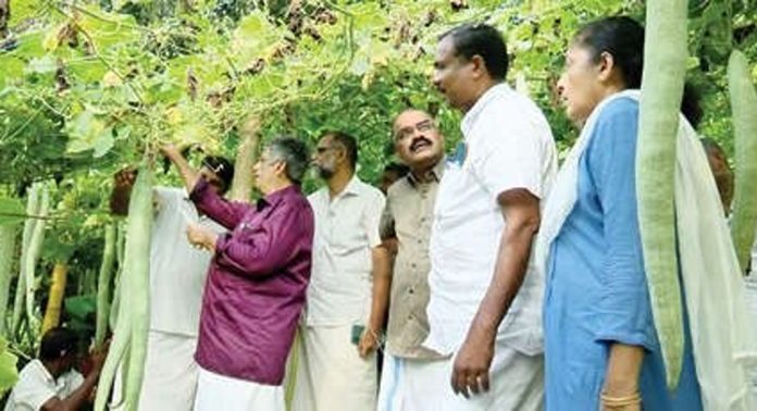 ഇക്കുറിയും വിഷുവിന് വിഷരഹിത പച്ചക്കറിയുമായി കർഷകസംഘം ഇരവിപേരൂർ ഏരിയാ കമ്മിറ്റി എത്തി ഇക്കുറിയും വിഷുവിന് വിഷരഹിത പച്ചക്കറിയുമായി കർഷകസംഘം ഇരവിപേരൂർ ഏരിയാ കമ്മിറ്റി എത്തി