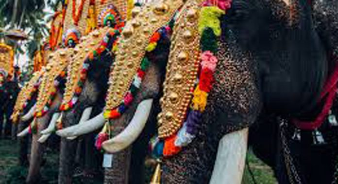പുല്ലൂപ്രം ശ്രീകൃഷ്ണസ്വാമിക്ഷേത്രത്തിലെ ഉത്രട്ടാതി ഉത്സവം 14 മുതൽ പുല്ലൂപ്രം ശ്രീകൃഷ്ണസ്വാമിക്ഷേത്രത്തിലെ ഉത്രട്ടാതി ഉത്സവം 14 മുതൽ
