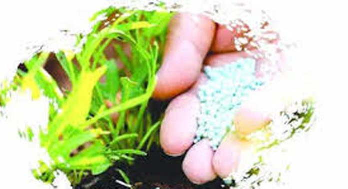 കര്ഷര്ക്ക് തിരിച്ചടിയായി രാസവള വിലക്കയറ്റം കര്ഷര്ക്ക് തിരിച്ചടിയായി രാസവള വിലക്കയറ്റം