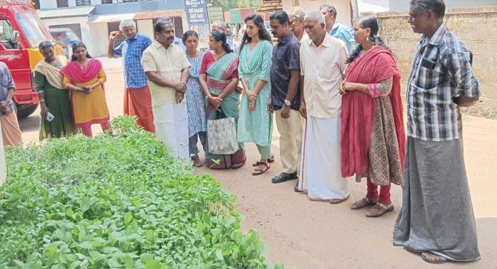 പറക്കോട് ബ്ലോക്ക് പഞ്ചായത്തിൽ കൃഷികൂട്ടങ്ങൾക്ക് കാർഷികോൽപാദന ഉപാധികൾ വിതരണം ചെയ്തു പറക്കോട് ബ്ലോക്ക് പഞ്ചായത്തിൽ കൃഷികൂട്ടങ്ങൾക്ക് കാർഷികോൽപാദന ഉപാധികൾ വിതരണം ചെയ്തു