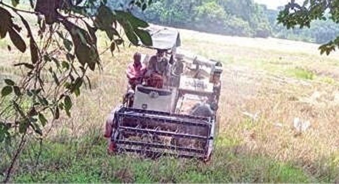 മഴ ; വെൺമണി ഇടനീർ പാടശേഖരത്തിൽ കൊയ്ത്ത് പ്രതിസന്ധിയിൽ മഴ ; വെൺമണി ഇടനീർ പാടശേഖരത്തിൽ കൊയ്ത്ത് പ്രതിസന്ധിയിൽ