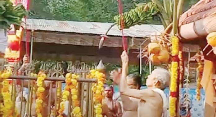 വൃന്ദാവനം പ്രണമലക്കാവ് ദുർഗാദേവീ ക്ഷേത്രത്തിലെ ഉത്സവം കൊടിയേറി വൃന്ദാവനം പ്രണമലക്കാവ് ദുർഗാദേവീ ക്ഷേത്രത്തിലെ ഉത്സവം കൊടിയേറി