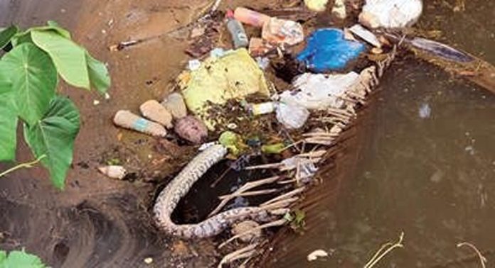 മാലിന്യം നിറഞ്ഞ് കണ്ണങ്കര തോട് മാലിന്യം നിറഞ്ഞ് കണ്ണങ്കര തോട്