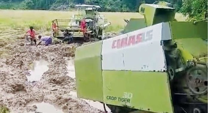 മഴ ; കവിയൂർ വെണ്ണീർവിള പുഞ്ചയിൽ കൊയ്ത്ത് പ്രതിസന്ധിയില് മഴ ; കവിയൂർ വെണ്ണീർവിള പുഞ്ചയിൽ കൊയ്ത്ത് പ്രതിസന്ധിയില്