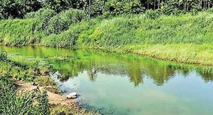 വഞ്ചിപ്പോട്ടിൽക്കടവ് പാലം യാഥാർഥ്യത്തിലേക്ക് വഞ്ചിപ്പോട്ടിൽക്കടവ് പാലം യാഥാർഥ്യത്തിലേക്ക്