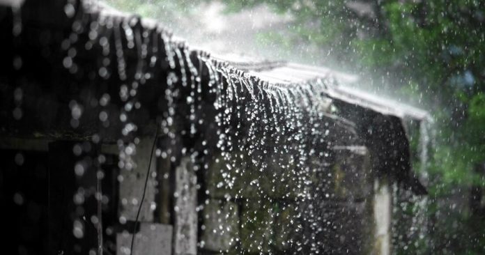 കനത്ത മഴയില് ഇടുക്കിയിൽ വൻ നാഷനഷ്ടം കനത്ത മഴയില് ഇടുക്കിയിൽ വൻ നാഷനഷ്ടം