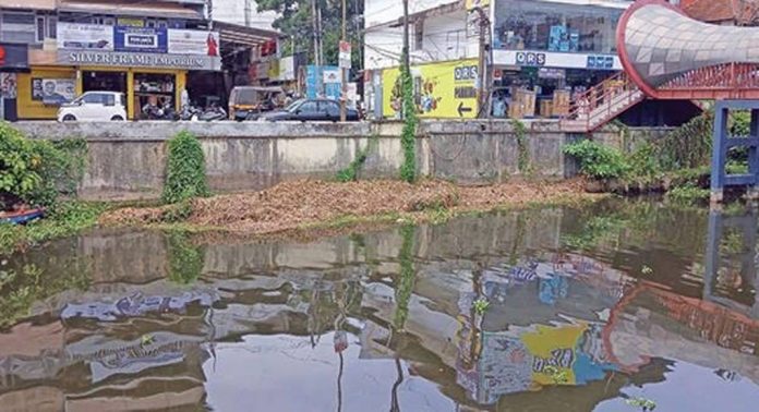 വേനൽ മഴ : വാണിജ്യക്കനാലിൽനിന്ന് വാരി കനാൽക്കരയിൽ വെച്ച പോള തിരികെ കനാലിലേക്ക് വീഴുന്നു വേനൽ മഴ : വാണിജ്യക്കനാലിൽനിന്ന് വാരി കനാൽക്കരയിൽ വെച്ച പോള തിരികെ കനാലിലേക്ക് വീഴുന്നു