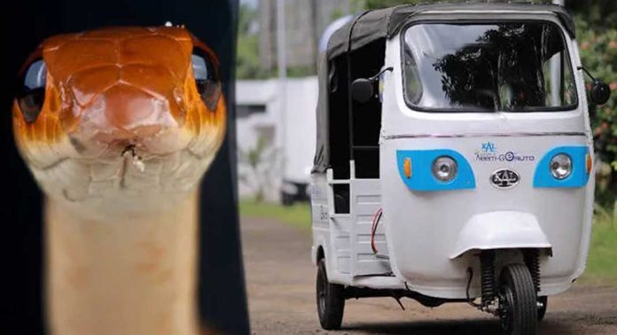 മാലിന്യവുമായി പോവുന്ന പിക്കപ്പ് ഓട്ടോ ഡ്രൈവറുടെ കഴുത്തിൽ പാമ്പ് ചുറ്റി മാലിന്യവുമായി പോവുന്ന പിക്കപ്പ് ഓട്ടോ ഡ്രൈവറുടെ കഴുത്തിൽ പാമ്പ് ചുറ്റി