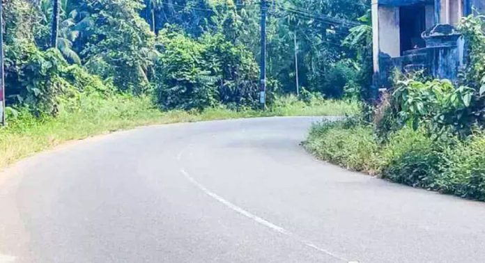 അപകടക്കെണിയായി നെല്ലിമുകളിലെ കൊടുംവളവ് അപകടക്കെണിയായി നെല്ലിമുകളിലെ കൊടുംവളവ്