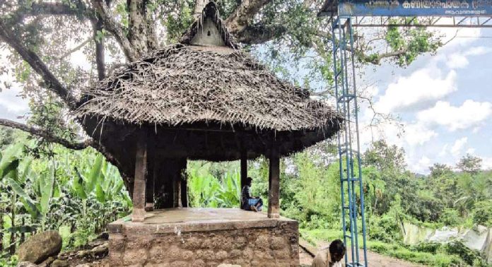 കാർഷിക പൈതൃകത്തിന്റെ ഓർമകൾ ഉണർത്തി ആറ്റുവാശ്ശേരി കളത്തട്ട് കാർഷിക പൈതൃകത്തിന്റെ ഓർമകൾ ഉണർത്തി ആറ്റുവാശ്ശേരി കളത്തട്ട്