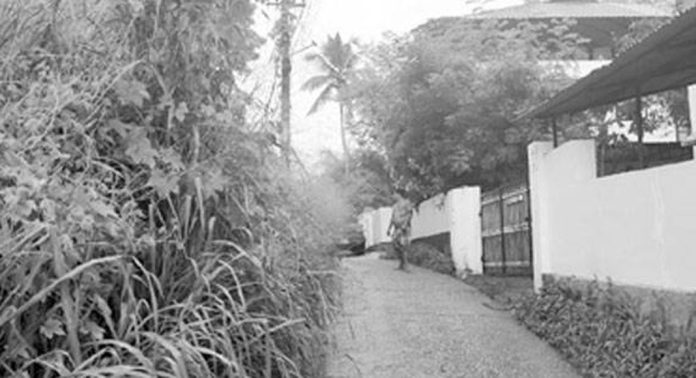 അടൂര് ഇരട്ടപ്പാലം റോഡില് കാട് വളര്ന്ന് നില്ക്കുന്നത് യാത്രക്കാര്ക്ക് ദുരിതമാകുന്നു അടൂര് ഇരട്ടപ്പാലം റോഡില് കാട് വളര്ന്ന് നില്ക്കുന്നത് യാത്രക്കാര്ക്ക് ദുരിതമാകുന്നു