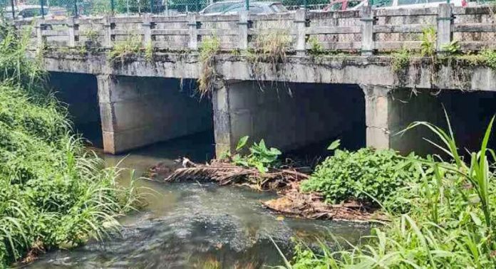 അടൂര് പള്ളിക്കലാറ്റിൽ ബൈപാസിലെ പാലത്തിനടിയിൽ മാലിന്യം കെട്ടിക്കിടന്ന് ഒഴുക്ക് തടസ്സപ്പെടുന്നു അടൂര് പള്ളിക്കലാറ്റിൽ ബൈപാസിലെ പാലത്തിനടിയിൽ മാലിന്യം കെട്ടിക്കിടന്ന് ഒഴുക്ക് തടസ്സപ്പെടുന്നു