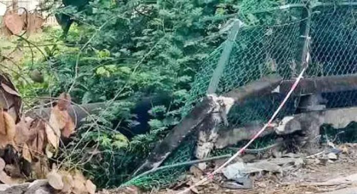 കായംകുളം-പുനലൂർ സംസ്ഥാന പാതയിലെ ടി.ബി ജംഗ്ഷനിലെ പാലത്തിന്റെ തകർന്ന കൈവരി നിർമിക്കാൻ നടപടിയായില്ല കായംകുളം-പുനലൂർ സംസ്ഥാന പാതയിലെ ടി.ബി ജംഗ്ഷനിലെ പാലത്തിന്റെ തകർന്ന കൈവരി നിർമിക്കാൻ നടപടിയായില്ല