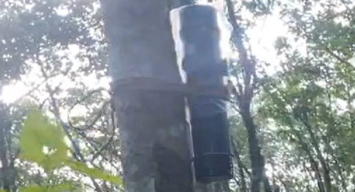 കോന്നി കുളത്തുമൺ ഭാഗത്ത് കാട്ടാന ഷോക്കേറ്റ് ചരിഞ്ഞ സംഭവം ; സ്ഥലത്ത് പ്രൊട്ടക്ഷൻ അലാറം സ്ഥാപിച്ച് വനം വകുപ്പ് കോന്നി കുളത്തുമൺ ഭാഗത്ത് കാട്ടാന ഷോക്കേറ്റ് ചരിഞ്ഞ സംഭവം ; സ്ഥലത്ത് പ്രൊട്ടക്ഷൻ അലാറം സ്ഥാപിച്ച് വനം വകുപ്പ്
