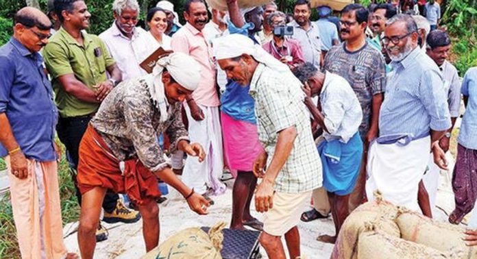 അമ്പലപ്പുഴ കാട്ടുകോണം പാടശേഖരത്തിൽ കൃഷിവകുപ്പ് നേരിട്ട് നെല്ലെടുത്തുതുടങ്ങി അമ്പലപ്പുഴ കാട്ടുകോണം പാടശേഖരത്തിൽ കൃഷിവകുപ്പ് നേരിട്ട് നെല്ലെടുത്തുതുടങ്ങി