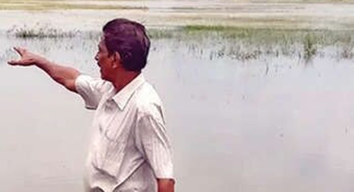 കനത്തമഴ ; ഇടത്തിട്ട മുണ്ടുകോണം ഏലായിൽ കൃഷിചെയ്ത രക്തശാലി നെല്ല് വെള്ളത്തിലായി കനത്തമഴ ; ഇടത്തിട്ട മുണ്ടുകോണം ഏലായിൽ കൃഷിചെയ്ത രക്തശാലി നെല്ല് വെള്ളത്തിലായി