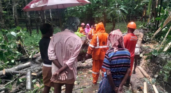 ശക്തമായ കാറ്റിലും മഴയിലും കോന്നിയിൽ വിവിധ ഇടങ്ങളിൽ വ്യാപക നാശനഷ്ടം ശക്തമായ കാറ്റിലും മഴയിലും കോന്നിയിൽ വിവിധ ഇടങ്ങളിൽ വ്യാപക നാശനഷ്ടം