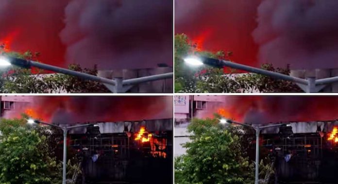കോഴിക്കോട് വ്യാപാര സമുച്ചയത്തിലെ തീപിടുത്തതിന്റെ കാരണം അറിയാൻ ഇന്ന് പരിശോധന കോഴിക്കോട് വ്യാപാര സമുച്ചയത്തിലെ തീപിടുത്തതിന്റെ കാരണം അറിയാൻ ഇന്ന് പരിശോധന