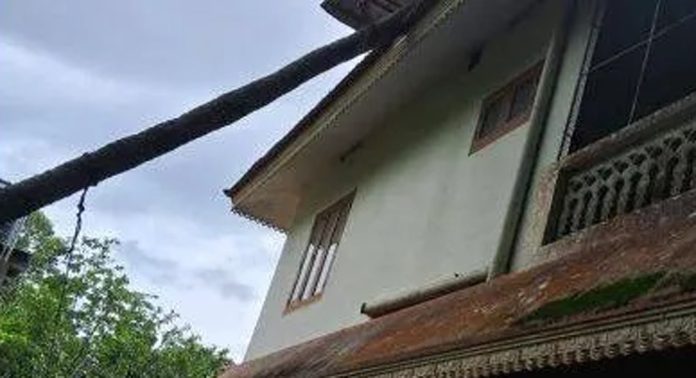 ശക്തമായ കാറ്റിലും മഴയിലും ചെങ്ങന്നൂരില് വ്യാപക കൃഷി നാശം ശക്തമായ കാറ്റിലും മഴയിലും ചെങ്ങന്നൂരില് വ്യാപക കൃഷി നാശം